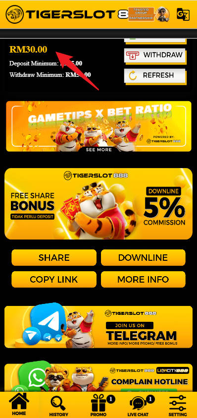 Step 4 - Register at Tigerslot888 Casino - Part 1