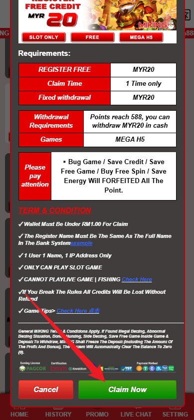 Step 3 - Register at Miking8 Casino - Free Credit Slot - Part 2