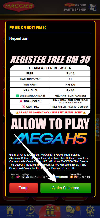 Step 3 - Register at Maggie8 - Free Credit Slot - Part 2