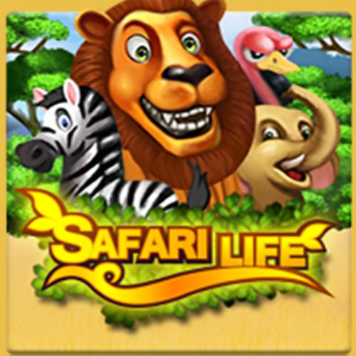 HFive5 Popular Slot Games - Safari Life