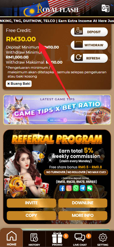 Step 4 - Register at RoyalFlash22 Casino - Free Credit Slot - Part 1