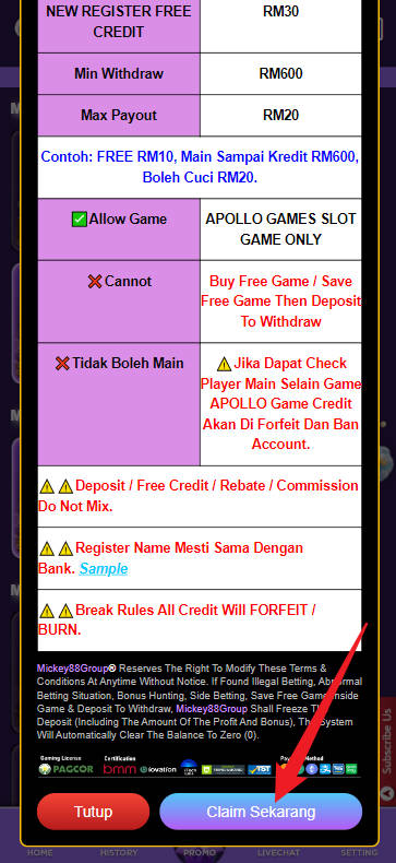 Step 3 - Register at Mickey88 Casino - Part 2