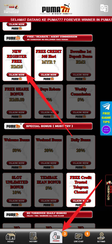 Step 3 - Register at Puma777 Casino - Part 1 Step 3 - Register at Puma777 Casino - Part 1