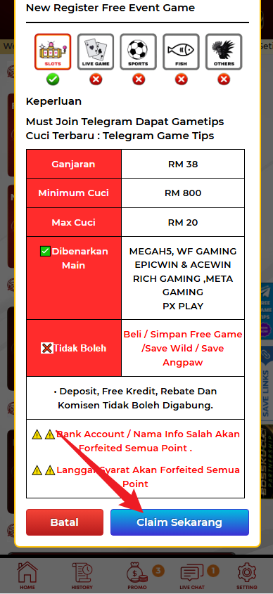 Step 3 - Register at Terbang777 Casino - Part 2